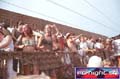 N#:244227 - 