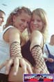 N#:244228 - 