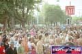 N#:244233 - 