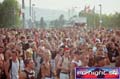 N#:244245 - 
